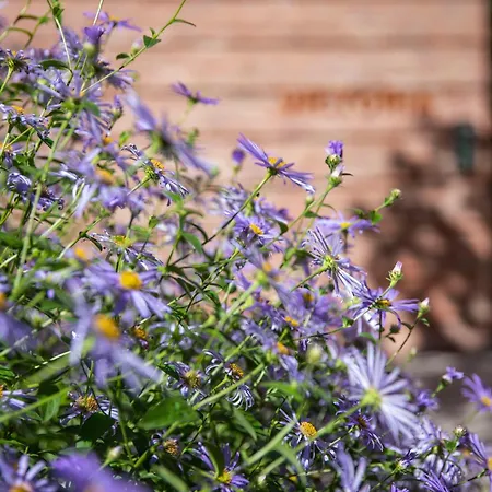 The Hudson 1 Bed Sleeps 2 شقة *