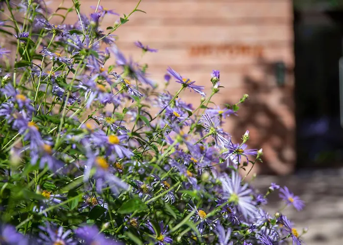 The Hudson 1 Bed Sleeps 2 アパート *